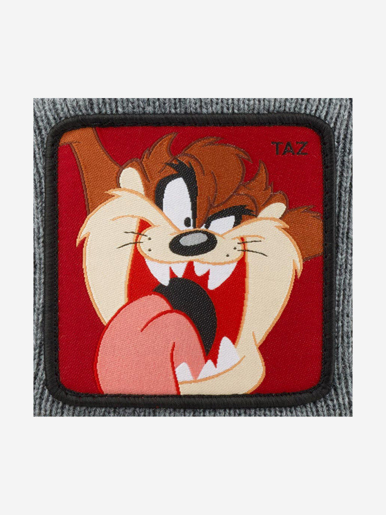 Шапка с отворотом CAPSLAB CL/LOO5/1/BON/TAZ2 Looney Tunes Taz (серый)
