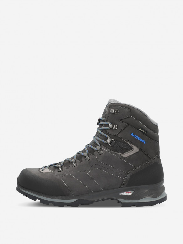 Ботинки мужские Lowa Santiago GTX