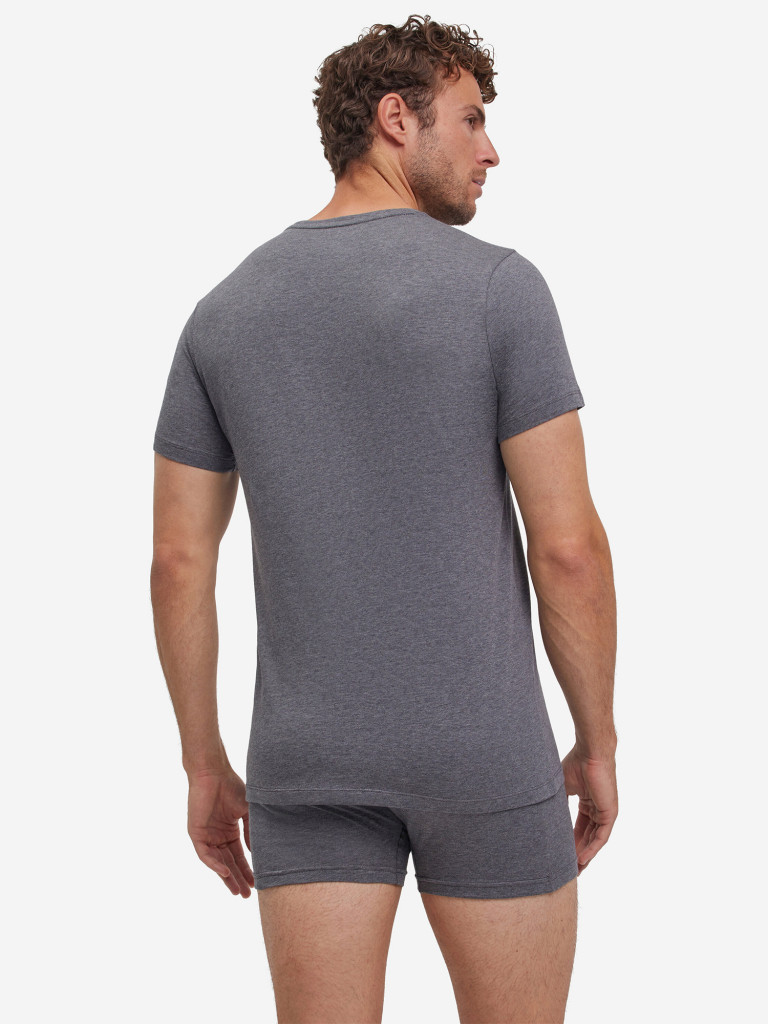 Набор мужских футболок FALKE