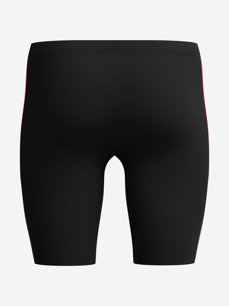 Джаммеры мужские Speedo Dive