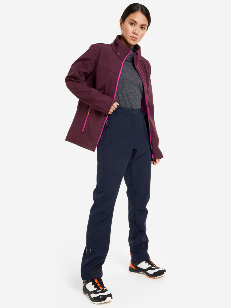 Брюки утепленные женские IcePeak Argonia