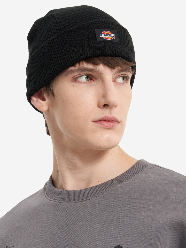 Шапка DICKIES Gibsland