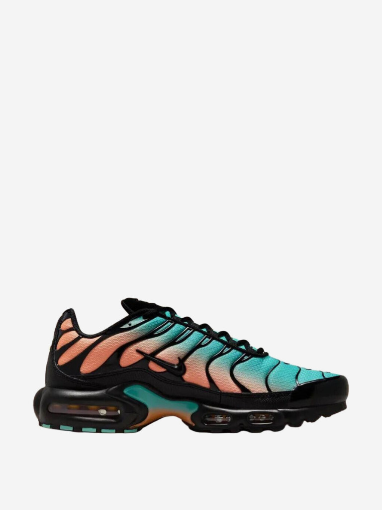 Кроссовки Nike Air Max Plus