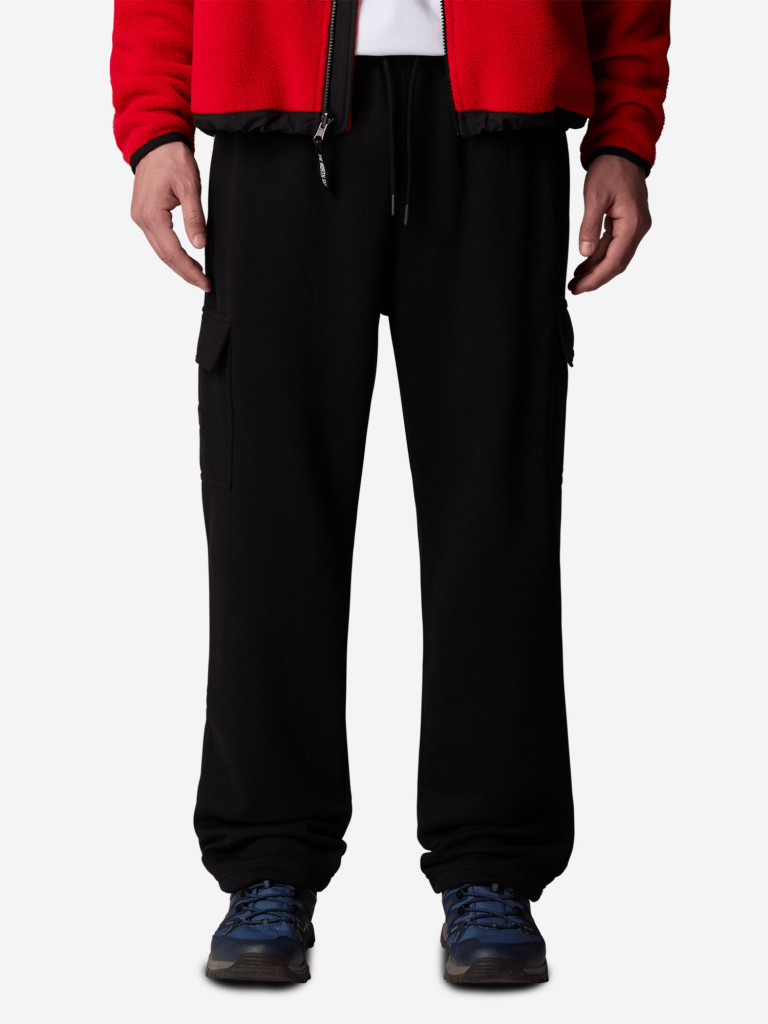 Брюки мужские The North Face Cargo Jogger