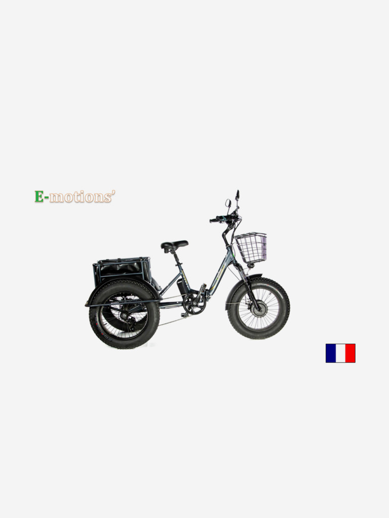 Трехколесный электровелосипед E-motions' PANDA 750W