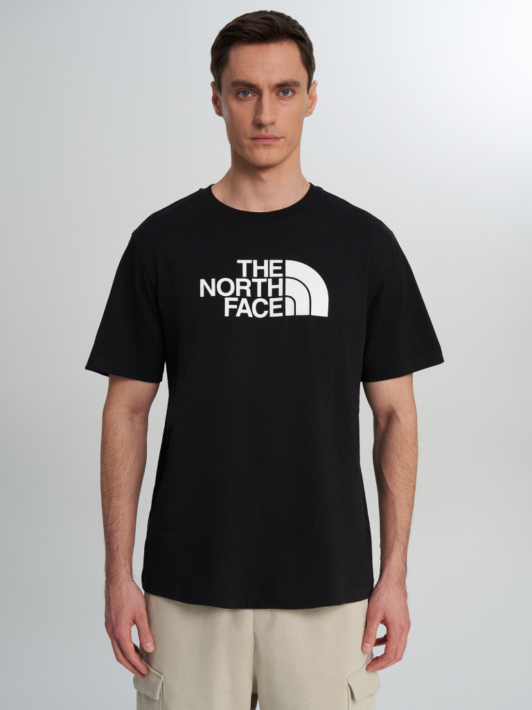 Футболка мужская The North Face Evolution