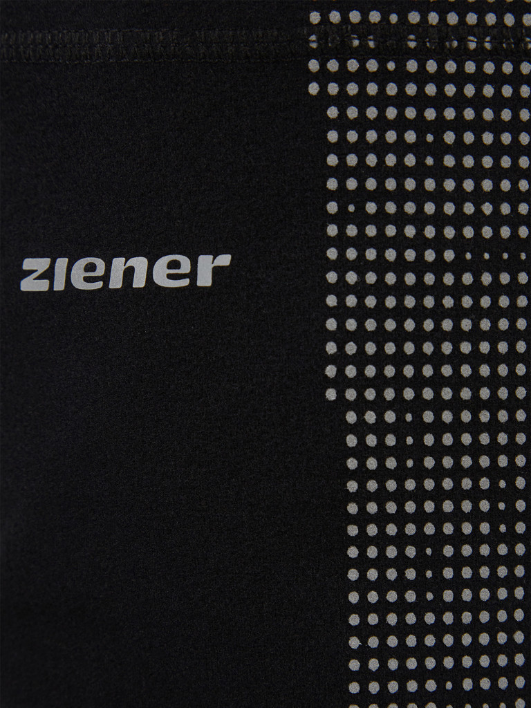 Гейтор Ziener