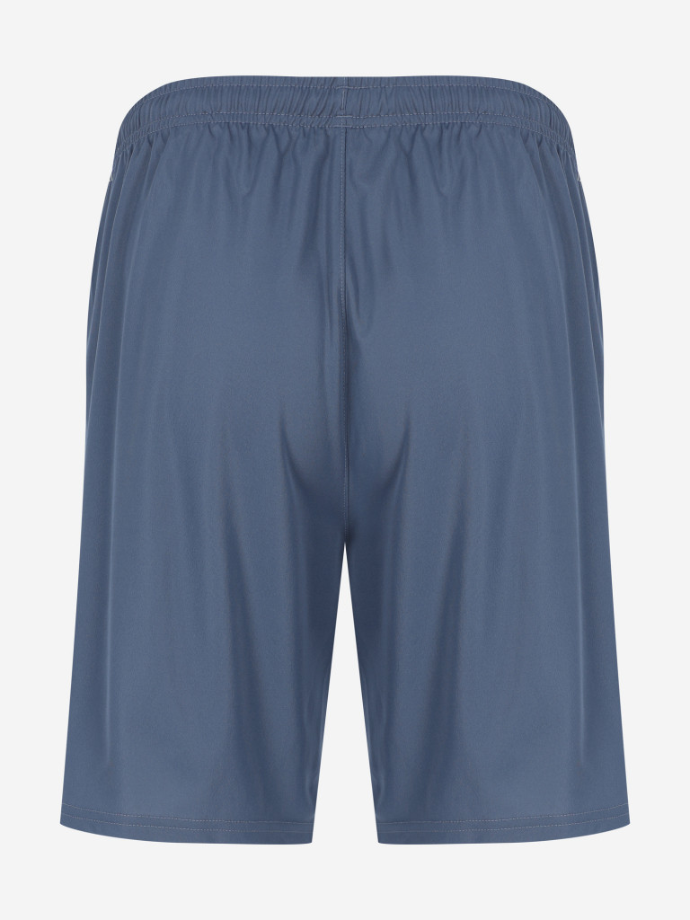 Шорты мужские PUMA Team Liga