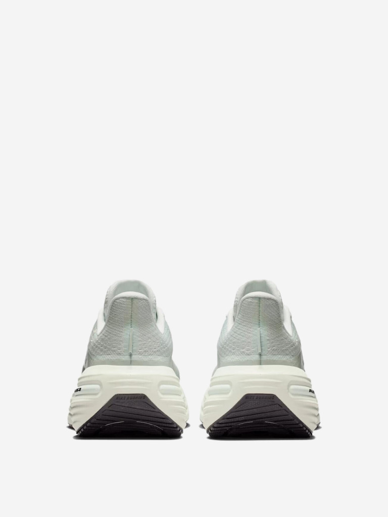 Кроссовки женские Nike Winflo 12