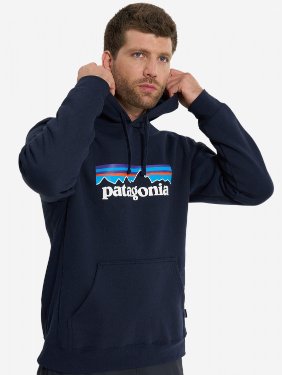 Худи мужское Patagonia Logo Uprisal