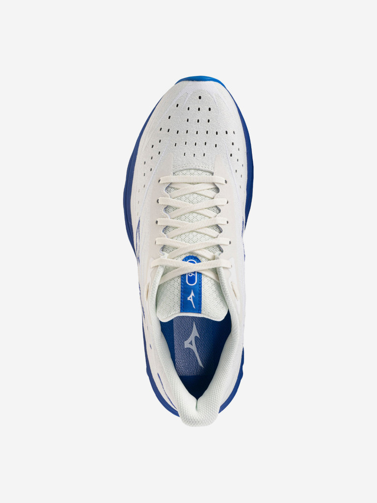 Кроссовки мужские Mizuno Wave Skyrise 6