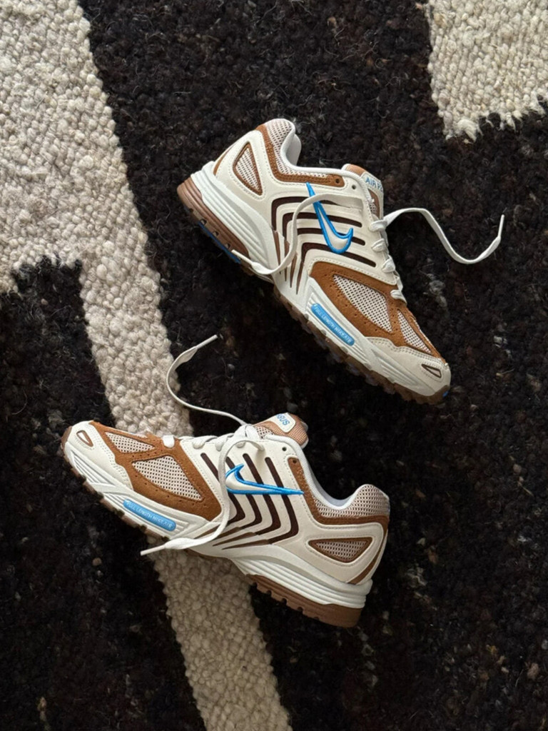 Кроссовки Nike Air Pegasus 2005 SE