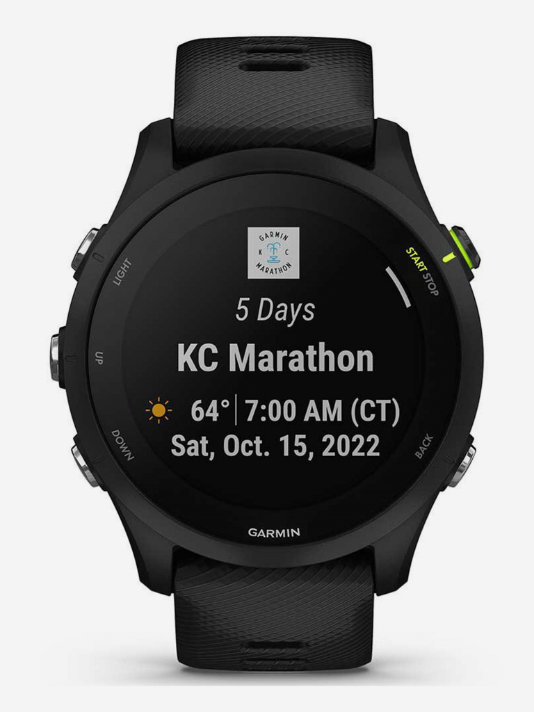 Спортивные часы Garmin Forerunner 255 Music с черным ремешком