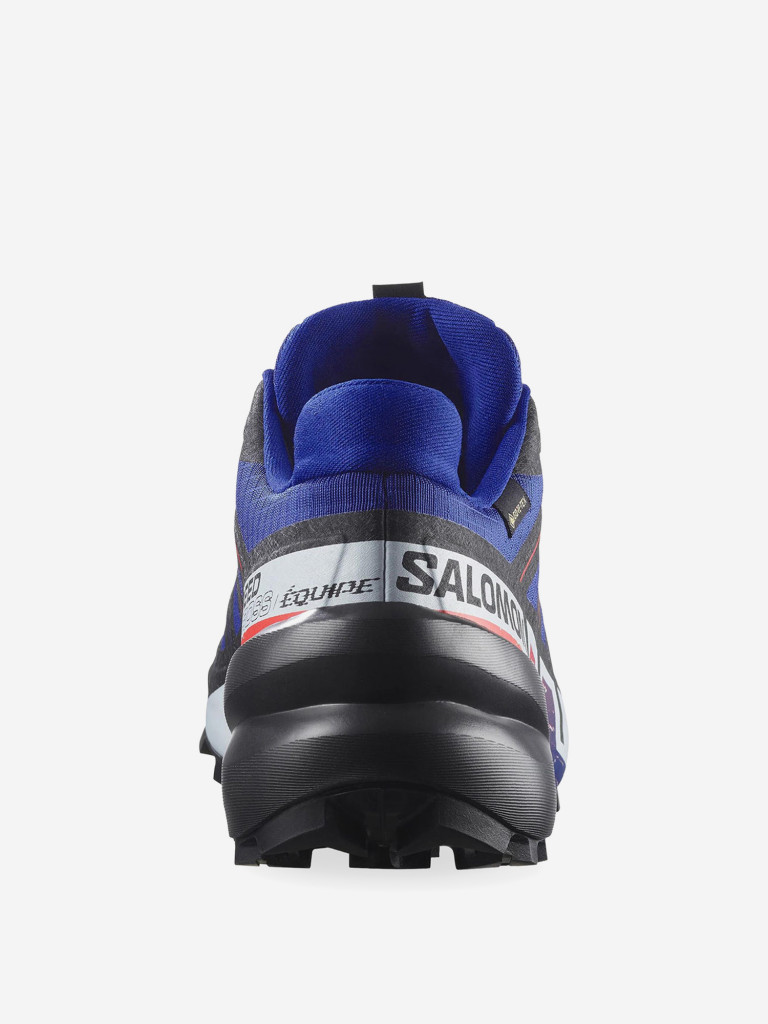 Кроссовки беговые Salomon Speedcross 6 GTX Equipe