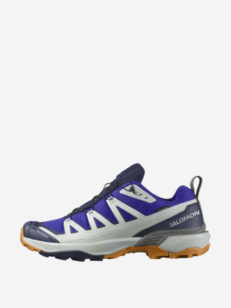 Кроссовки мужские Salomon X Ultra 360