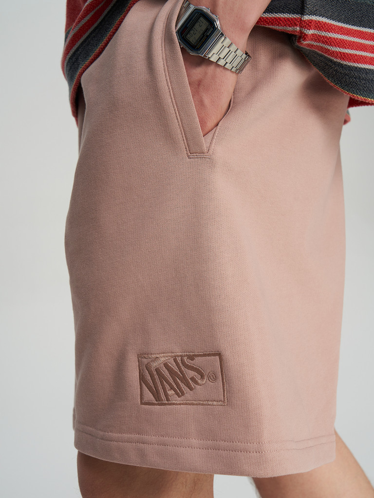 Шорты мужские Vans Blocked Box