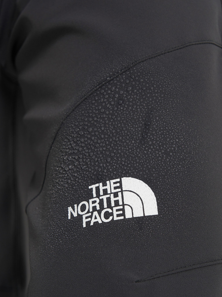 Брюки мужские The North Face Diablo Reg