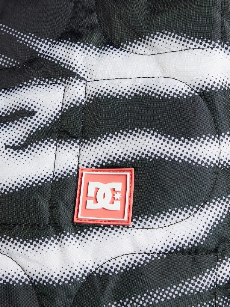 Анорак сноубордический женский DC Shoes