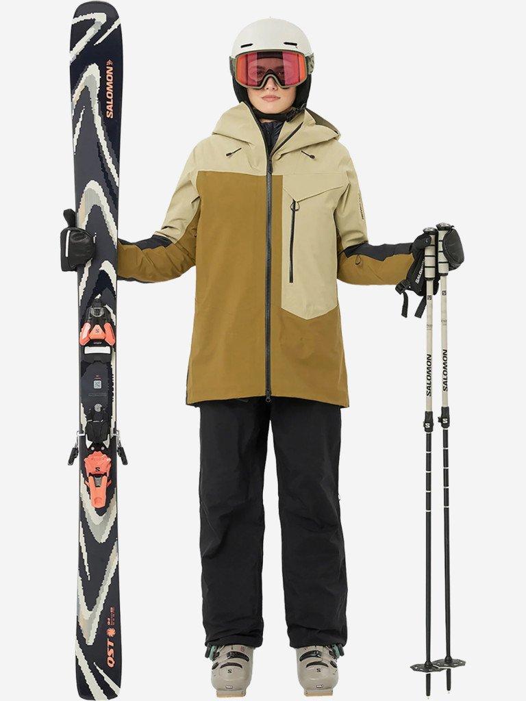 Горнолыжные очки Salomon Sentry Pro Sigma Photochromic Olive Night Cat. 1-3