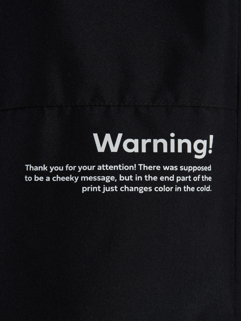 Брюки утепленные мужские Termit