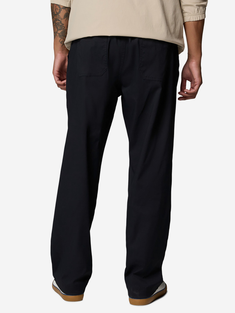 Брюки мужские Columbia Landroamer Scout Pant