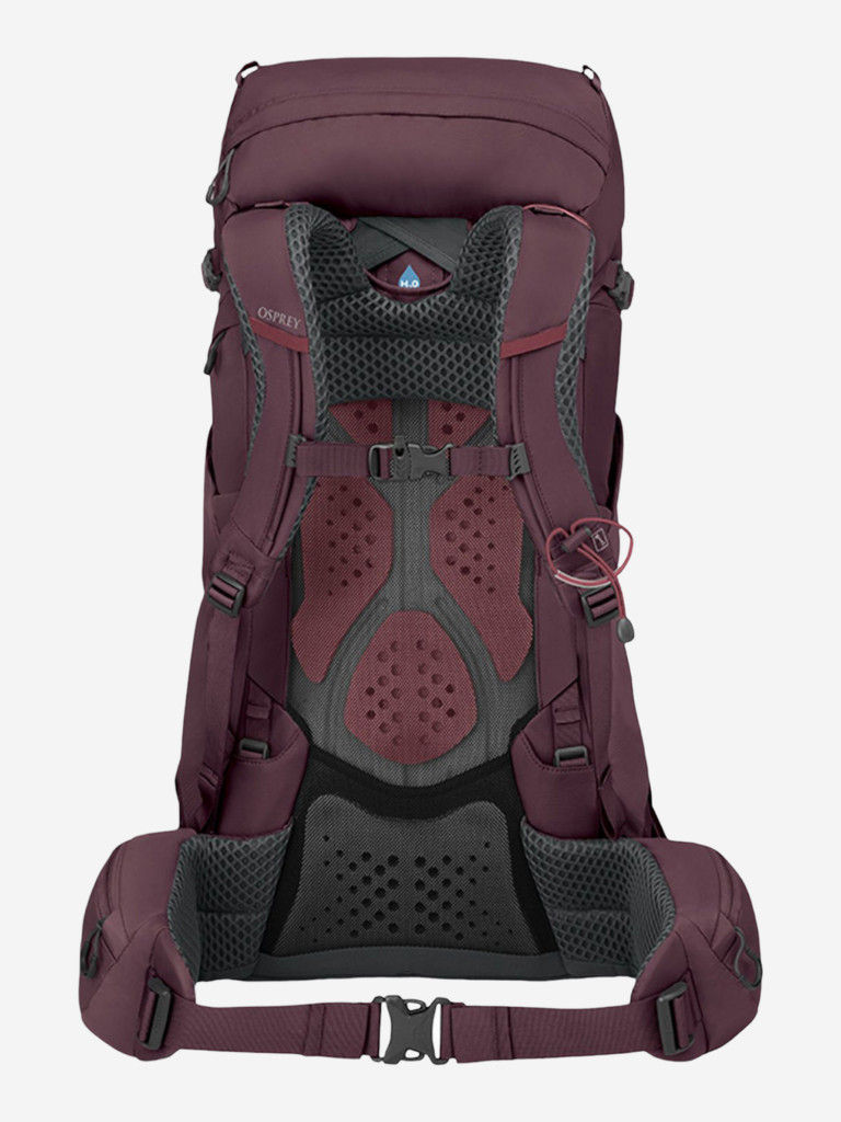 Рюкзак Osprey Kyte 38 Elderberry Purple