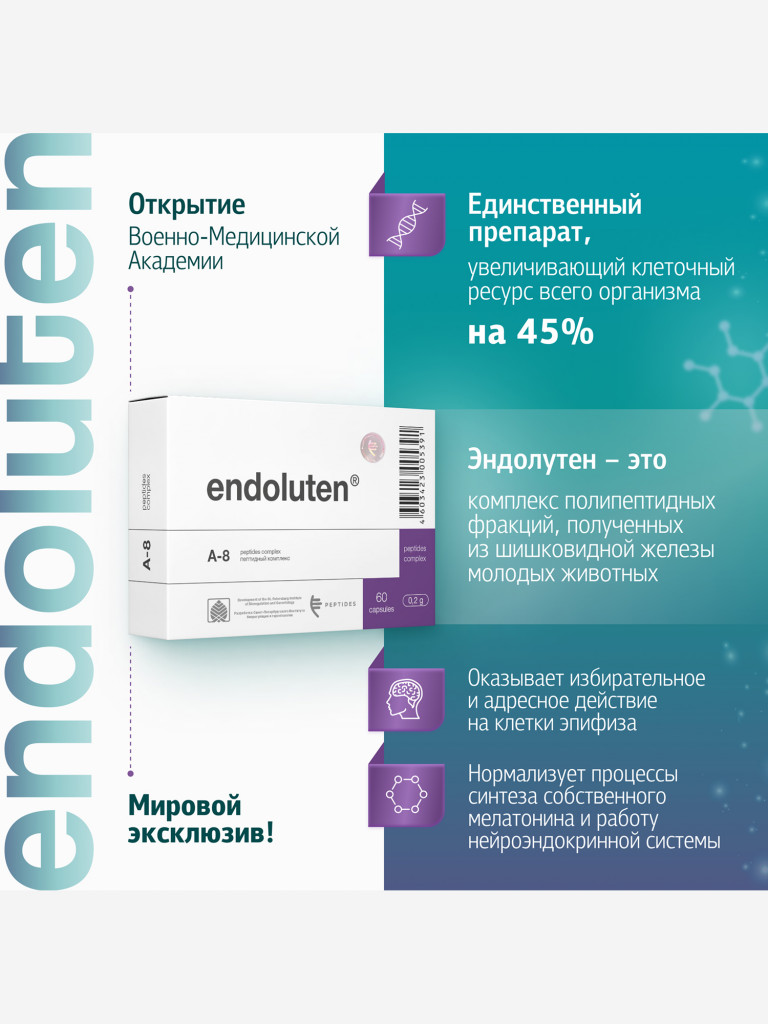 Комплекс натуральных пептидных фракций шишковидной железы для нормализации работы эпифиза - Эндолутен N60