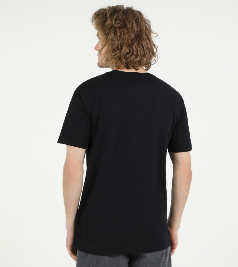 Футболка мужская Quiksilver Flaxton