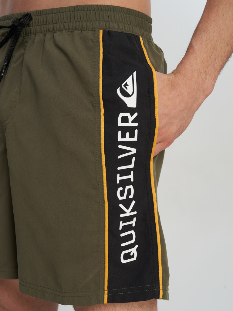 Шорты плавательные мужские Quiksilver Everyday Clicker Volley 17
