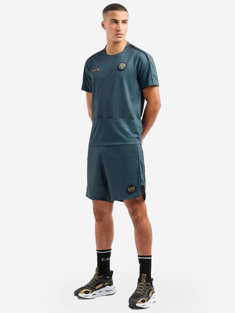 Костюм мужской EA7 Tracksuit