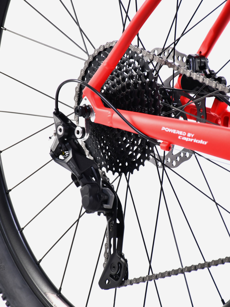 Велосипед CAPRIOLO MTB AL PHA 9.5 (2 X 10), рама алюминий 19'', колёса 29'' (красный - розовый)