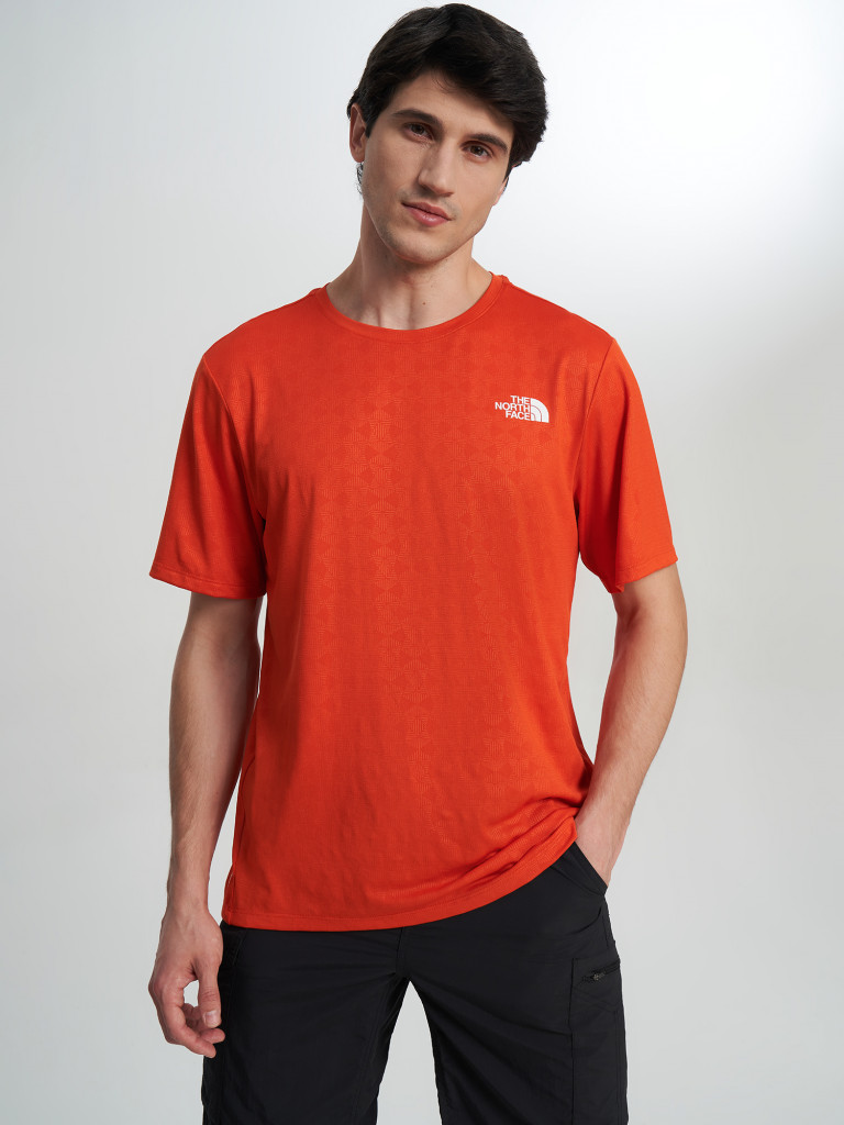 Футболка мужская The North Face 24/7