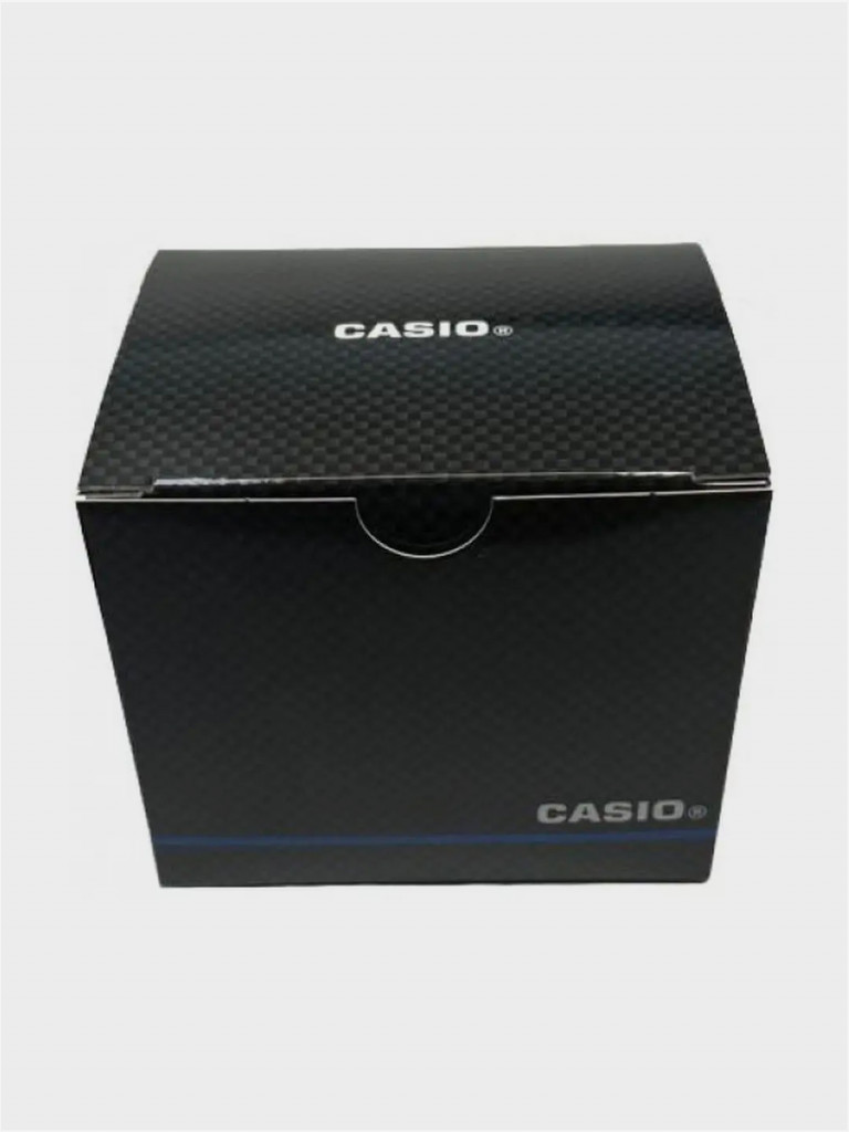 Спортивные часы CASIO WS-1600H-8A