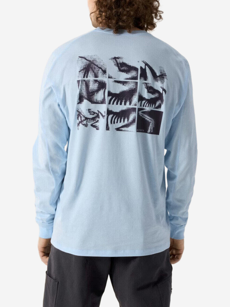 Лонгслив Arcteryx Kragg SL Cotton Bird Tile
