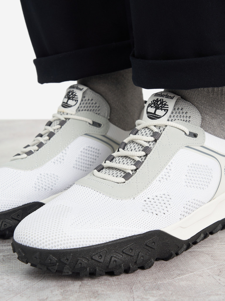 Кроссовки мужские Timberland Greenstride Motion 6