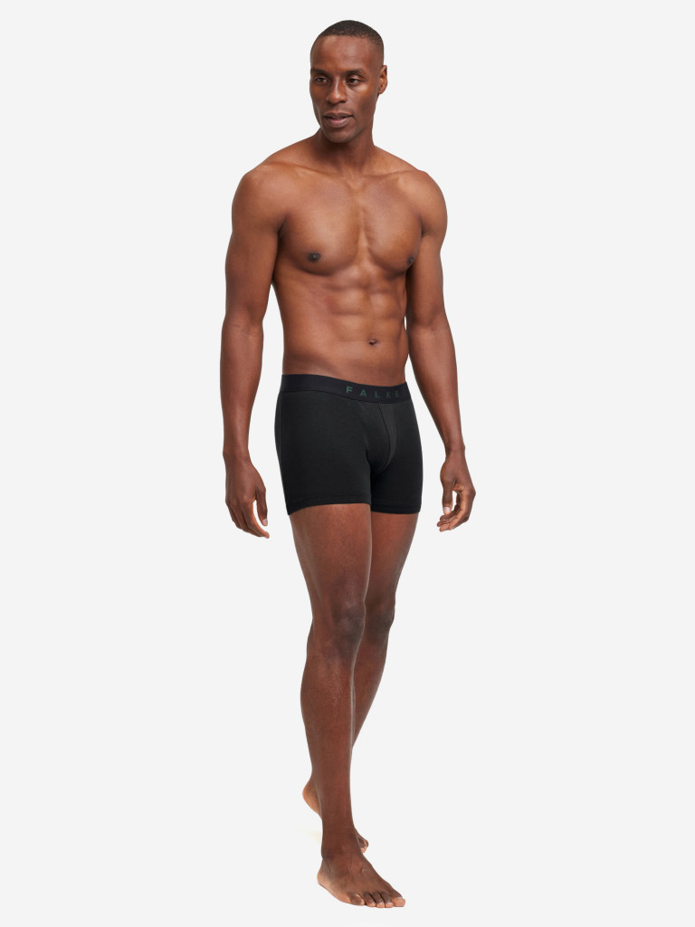 Набор мужских трусов FALKE