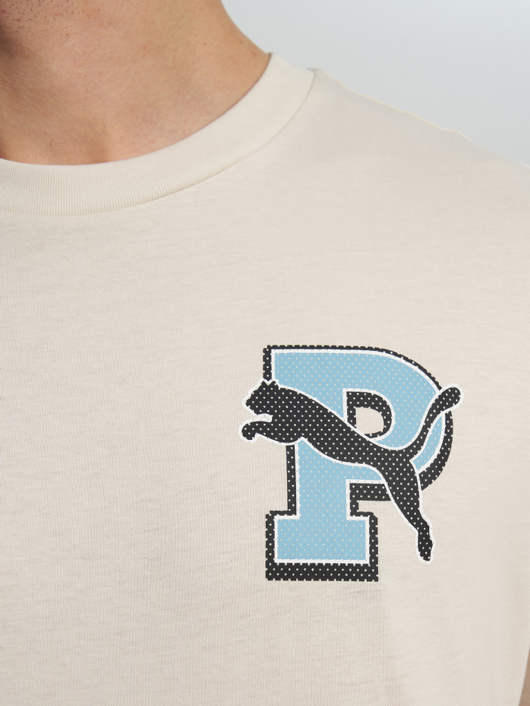 Футболка мужская PUMA