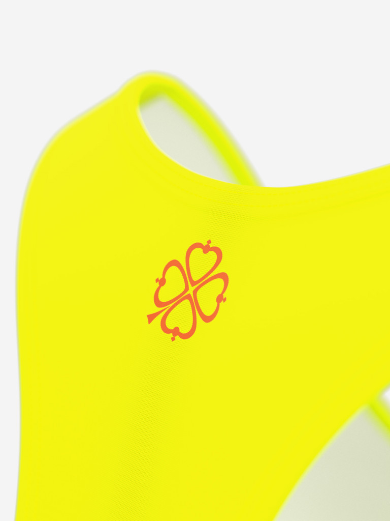 Купальник раздельный SPSM