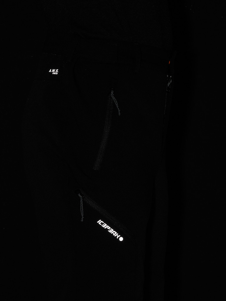 Брюки утепленные мужские IcePeak Vreden