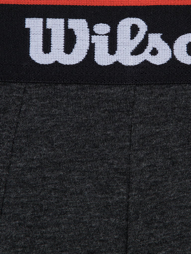 Трусы мужские Wilson, 2 штуки