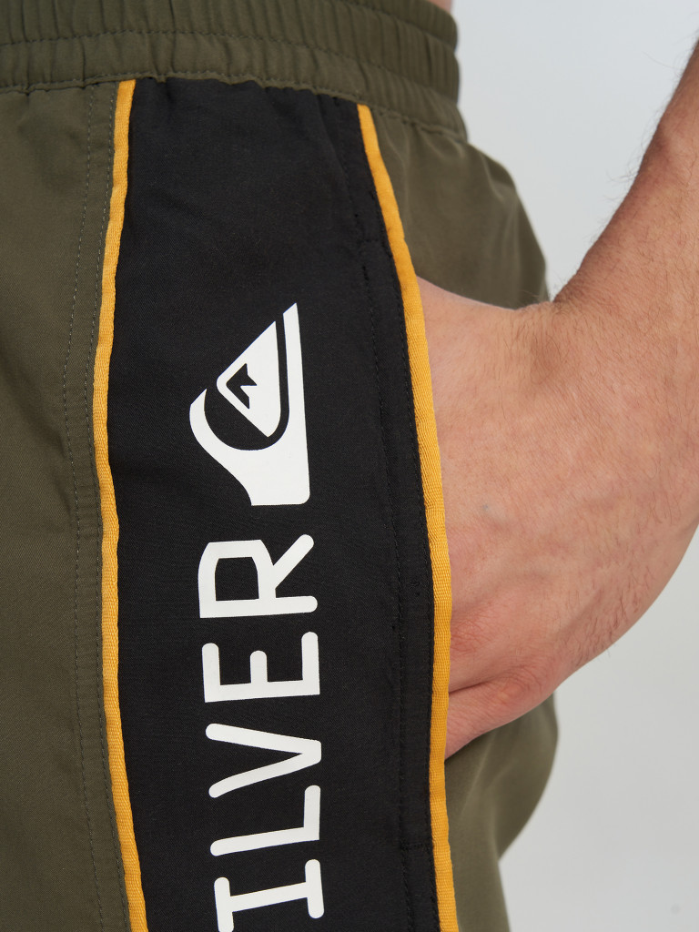 Шорты плавательные мужские Quiksilver Everyday Clicker Volley 17