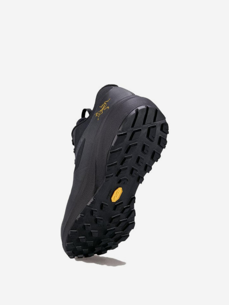 Кроссовки Arcteryx Norvan LD 3