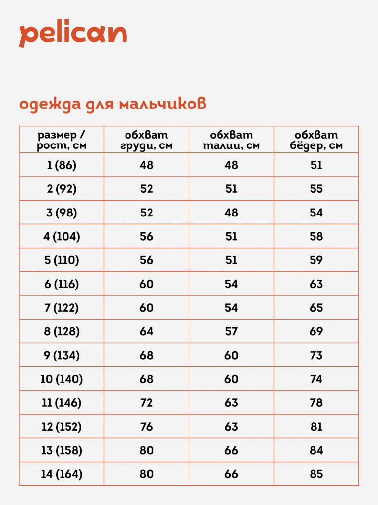 Футболка для мальчиков Pelican