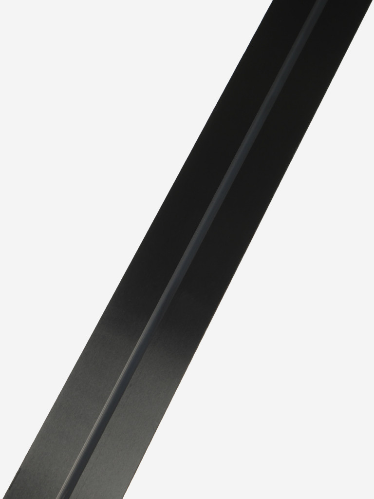 Беговые лыжи Atomic Pro CS1