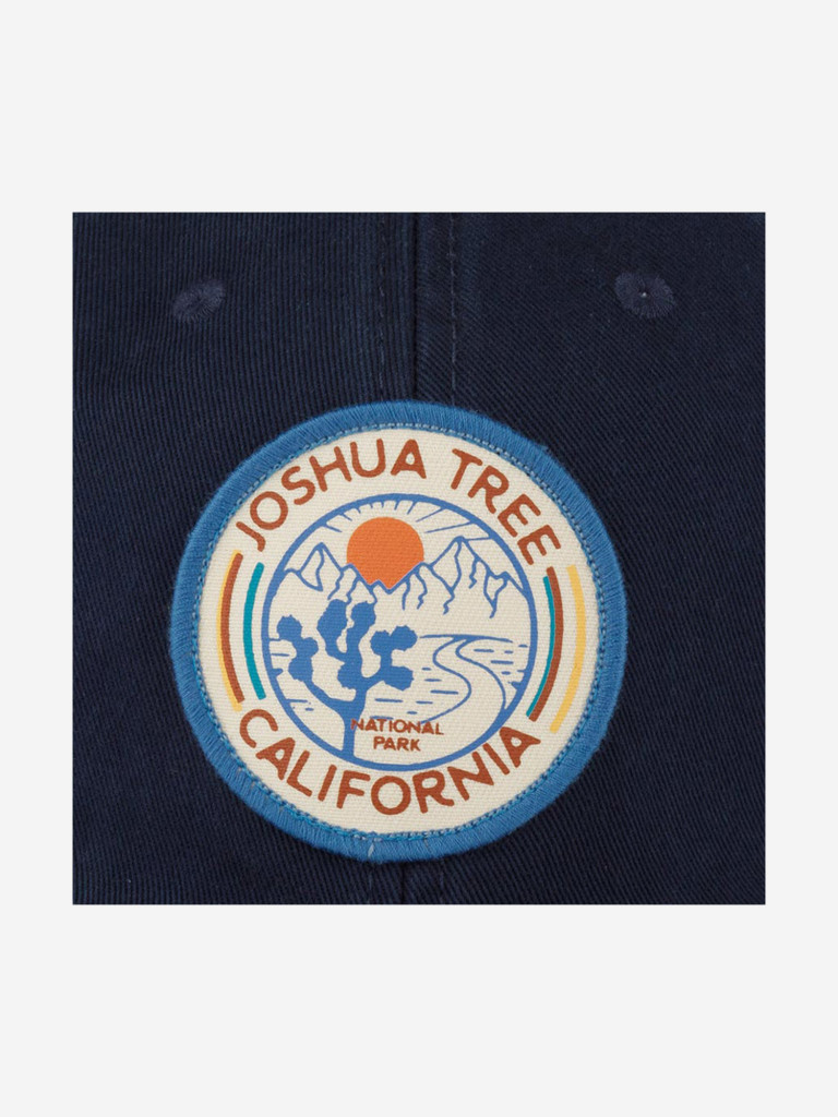 Бейсболка AMERICAN NEEDLE 43870A-JTNP Joshua Tree National Park Hepcat (синий)