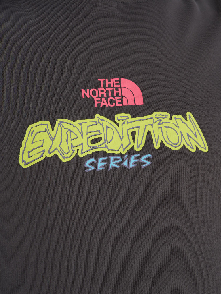 Худи мужское The North Face Expedition Celebration
