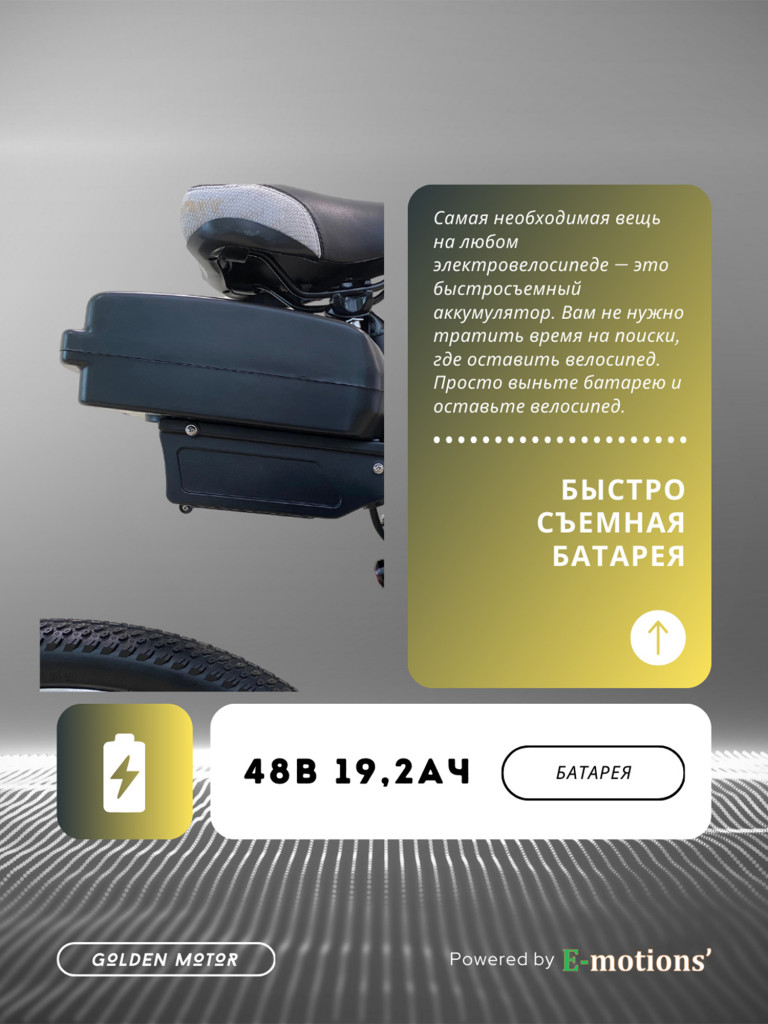 Электровелосипед Golden Motor 1000W
