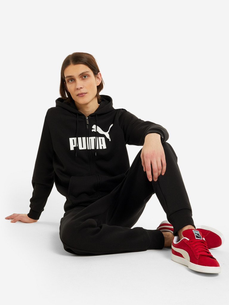 Толстовка мужская PUMA Ess Big Logo