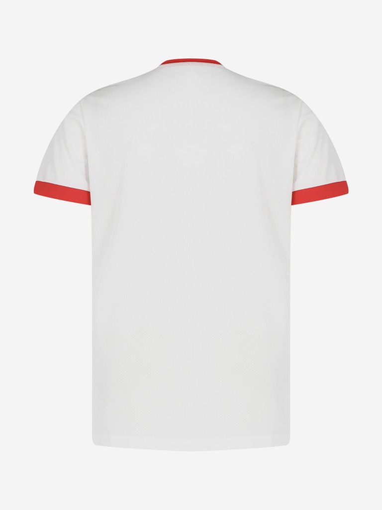 Футболка мужская PUMA teamGOAL 23 Jersey