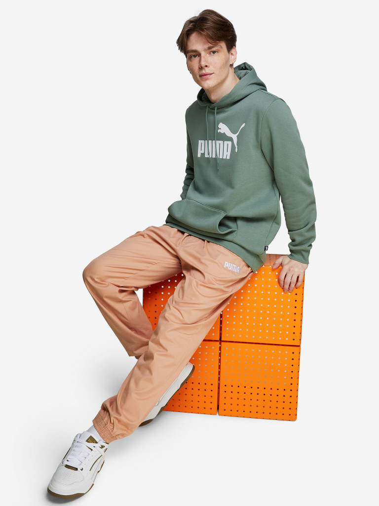 Худи мужское PUMA Ess Big Logo Varsity Green